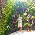 Jasa Vertical Garden Jakarta