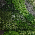 Jasa Vertical Garden Bekasi