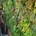 Jasa Vertical Garden Cibubur