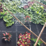 Jasa Vertical Garden Pamulang