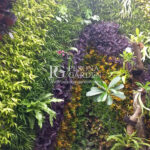 Jasa Vertical Garden Bintaro